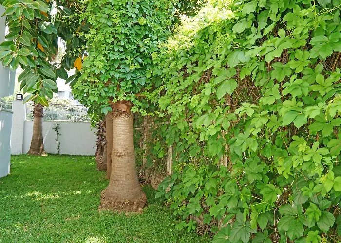 Felizya Bed & Breakfast