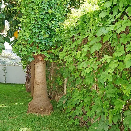 Felizya Bed & Breakfast